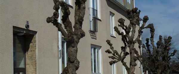 Bergsgatan 6 - Foto 1