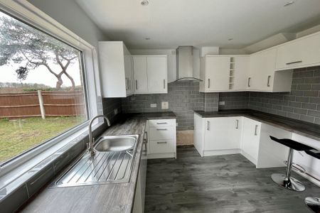 Lancewood Walk - Photo 4