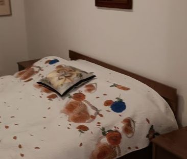 2.5 Zimmer, 45 m² - Foto 2