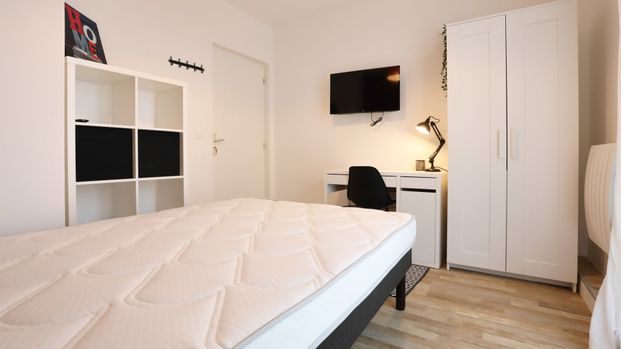 GRIFFOUL T Roommate 4 Bedrooms at Toulouse - Photo 1