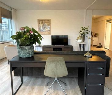 Meander 839 - Photo 6