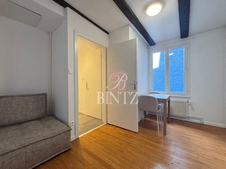 Location Appartement 2 pièces 29m² STRASBOURG 67000 - Photo 3