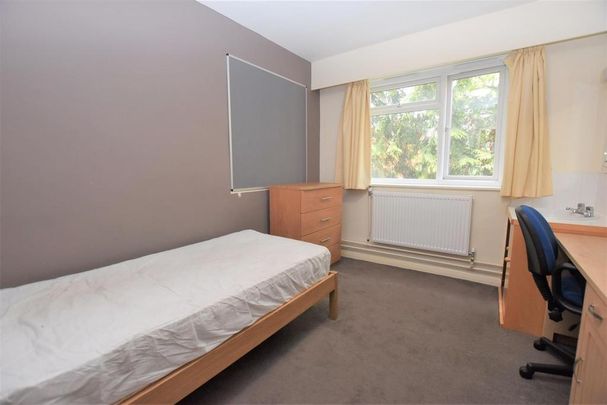 1 bedroom private hall to rent - Photo 1