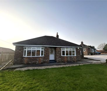 Available as a Company Tenancy, this delightful and recently refurb... - Photo 6