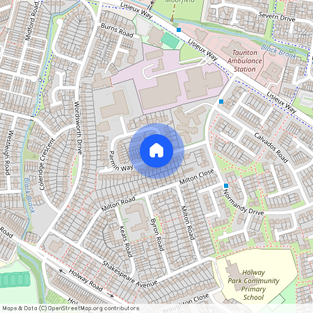 Parmin Way, Taunton, Somerset