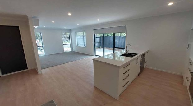 Stylish new townhouse - Photo 1