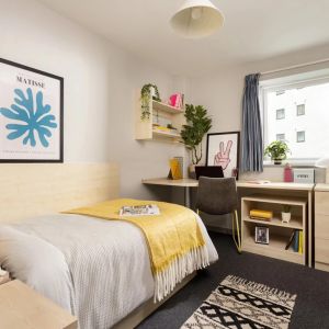 Medium High Single Ensuite: Three Bed Flat - Photo 2