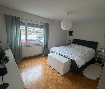 Saules 1, Colombier - Photo 2