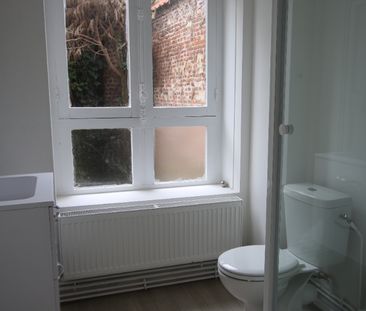 Location Appartement 1 pièce 17m² LILLE 59800 - Photo 4