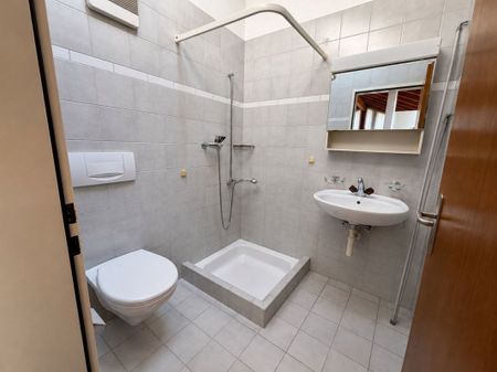 grosse 3-Zimmer-Dachwohnung mit eigenem Waschturm - Photo 4