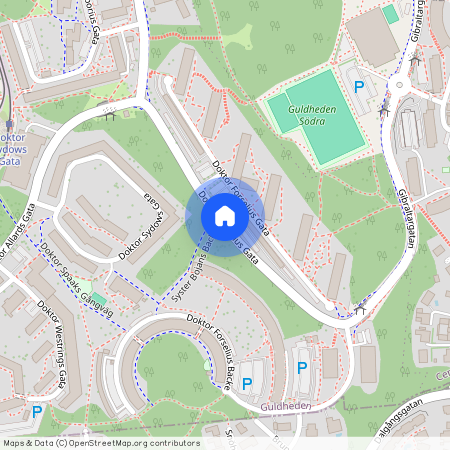 Doktor Forselius Gata, Göteborg