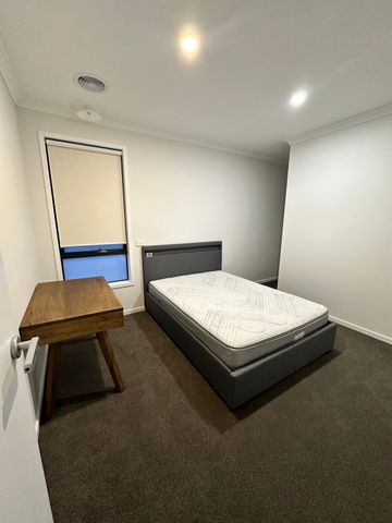 Donnybrook - Photo 2