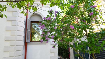 Vila superba Cotroceni - Photo 4