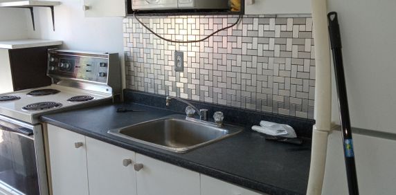 Plateau - 4 1/2 Sur Saint-Denis - Photo 2