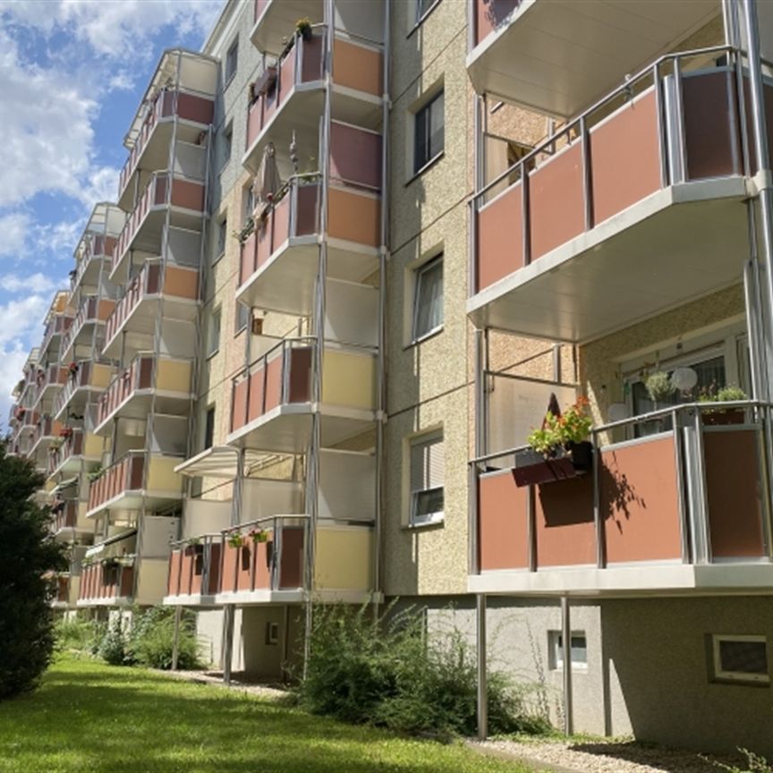 Alles wird neu - tolle 3-Raumwohnung in grüner Lage - Foto 1