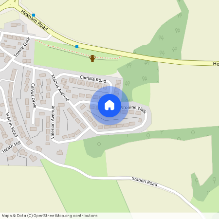 Antonine Walk, Heddon-On-The-Wall, Newcastle-Upon-Tyne, NE15