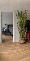 Appartement 2 Chambres Dans Rosemont - Photo 1