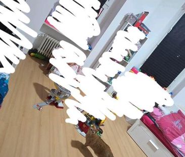 3zimmer wohnung am rott - Foto 3