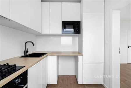 Pronájem bytu 2+1 po kompletní rekonstrukci, 43,6 m - Photo 3