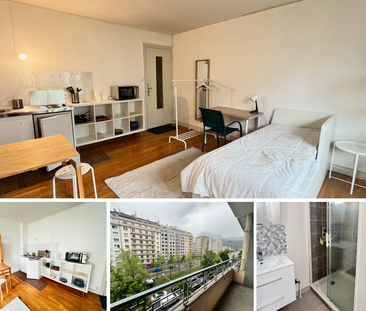 Location Appartement 1 pièce 26m² GRENOBLE 38000 - Photo 2