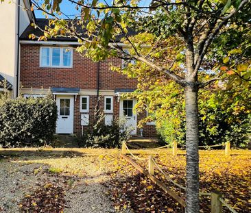 Buckle Gardens, Hailsham, Hellingly - Photo 1