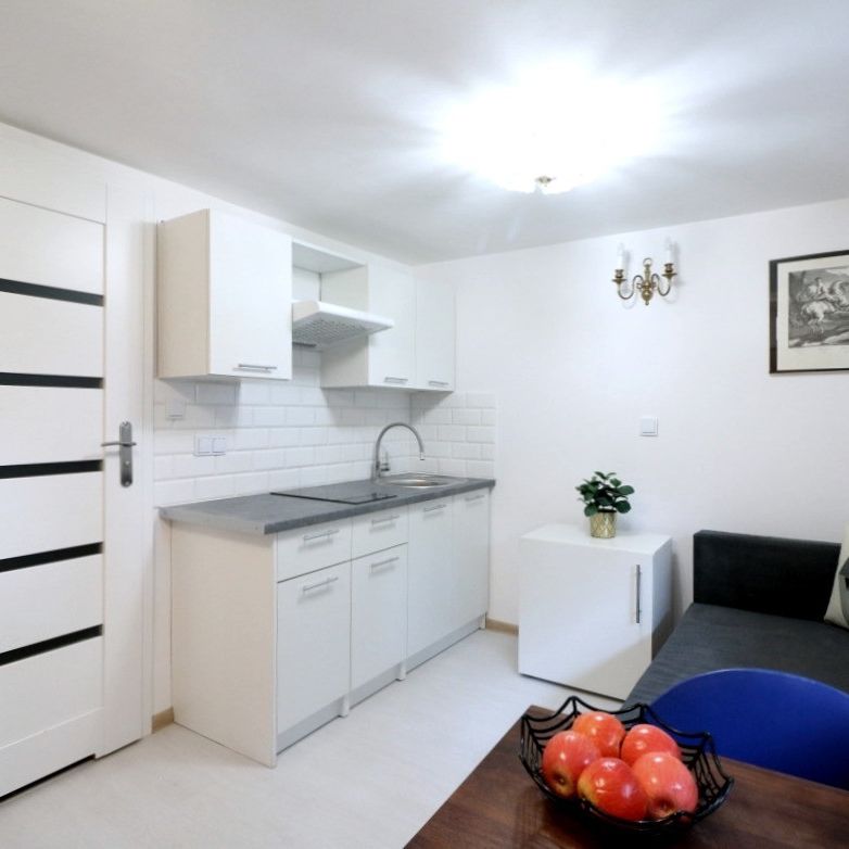 Umeblowana kawalerka w kameralnym budynku-Zacisze - Zdjęcie 1