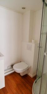 Location Appartement 1 pièce 29m² LILLE 59000 - Photo 4