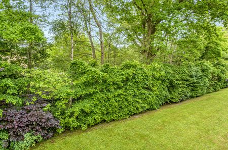 Beaumaris Parade, Balmoral Drive, Frimley, Camberley, GU16 - Photo 3