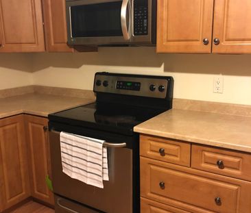 For Lease - 306 Westmount Road Unit# Main, Kitchener, Ontario - Photo 4