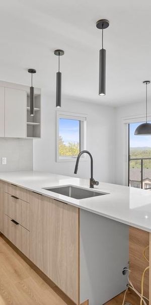 Logements 4 1/2 neuf à louer à ste-agathe-des-monts - Photo 1