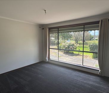 Toongabbie Delight - Photo 1