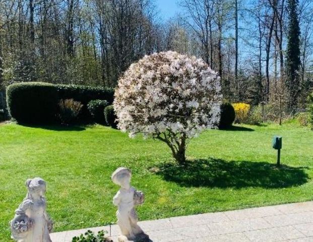 ✅ Wohnung f. hilfsbereite Mitbewohnerin respektvolles Miteinander - Foto 1