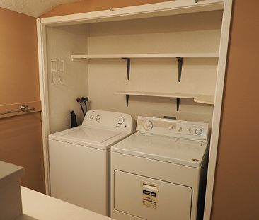 Basement Unit in Normandeau WITH GARAGE - Photo 4