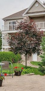 MAGNIFIQUE CONDO 4 1/2 À STE-THÉRÈSE DANS UN DÉCOR EXTÉRIEUR TOUT EN VERDURE PRÈS DE TOUS LES SERVICES QU'OFFRE UNE BANLIEUE! - Photo 4