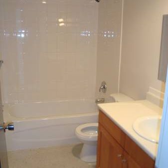 Renovated Bachelor Suite in Mt. Pleasant (Main & 12th) - Photo 4