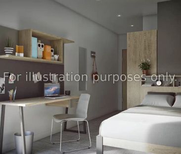 Classic Studio - Photo 6