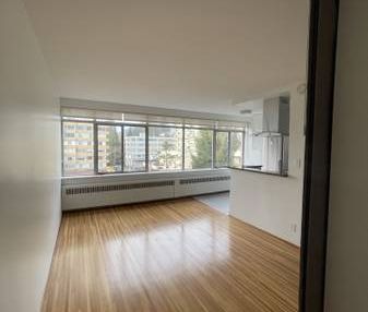 Spacious Open Concept Studio West of Denman - Photo 1