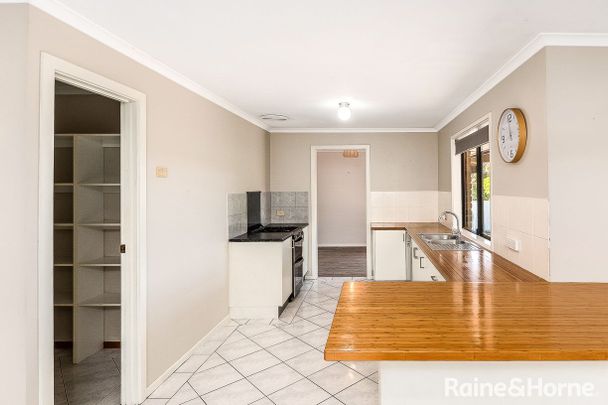 14 Sutton Court, Meadows, SA 5201 - Photo 1