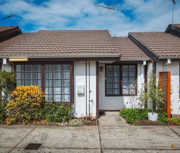 GORGEOUSLY RENOVATED | QUIET STREET - Photo 4