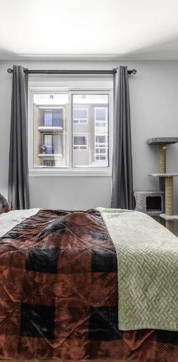 Appartement 3 ½ à louer juillet 2026 - Photo 1