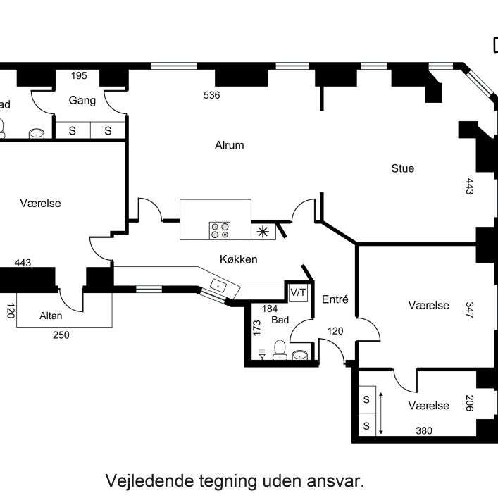 Stor herskabslejlighed i centrum - Photo 1