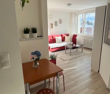 Pronájem bytu 1+kk v osobním vlastnictví 35 m², Praha 8 - Libeň - Fotografie 2