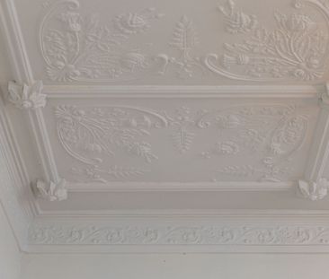 5 Brown Street, St Peters NSW 2044 - Terrace For Rent | Domain - Photo 6