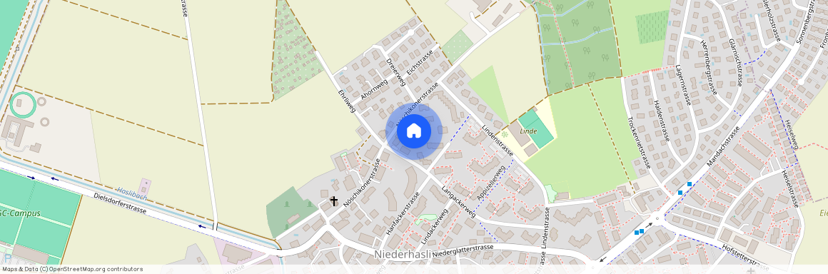 Nöschikonerstrasse 22, 8155, Niederhasli