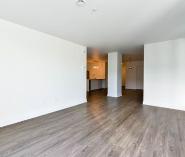 9675 Av. Papineau - Photo 1