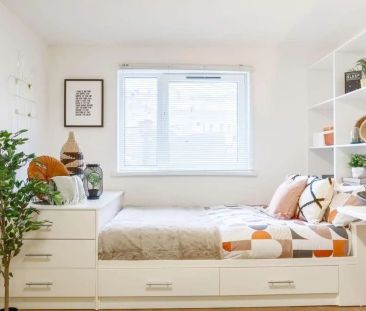 Classic Studio - Photo 2