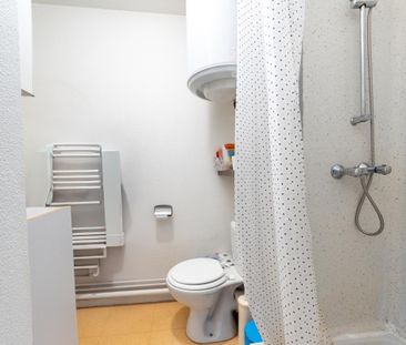 Location Appartement 1 pièce Meublé 18m² NANTES 44100 - Photo 4