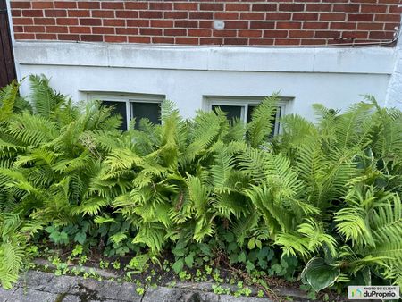 5852, avenue Clanranald, Côte-des-Neiges / Notre-Dame-de-Grâce à louer - Photo 5