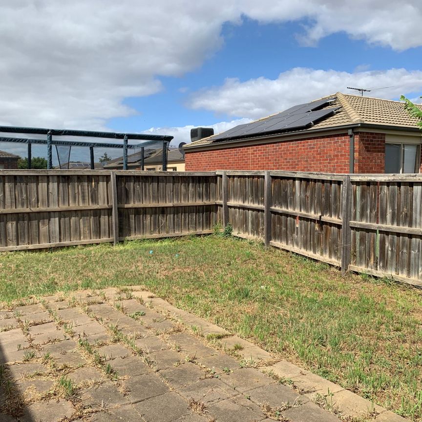 Spacious Family Living in Tarneit - Photo 1