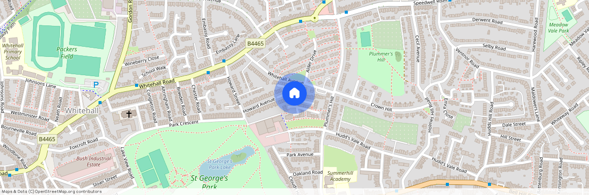 Snowberry Walk, St George, Bristol